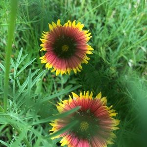 Meet your Posher, Hao